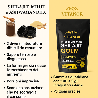 Vitanor™: Gominolas de Shilajit Puro