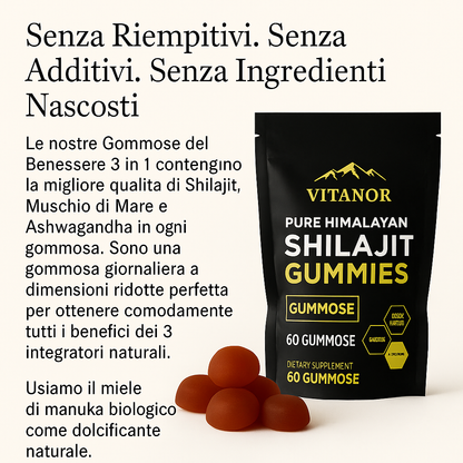 Vitanor™: Gominolas de Shilajit Puro